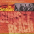 The Sentinals