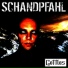 Schandpfahl