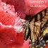 Mhyst