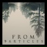 From Particles