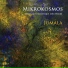 Mikrokosmos
