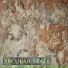 Secular State