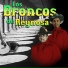 Los Broncos de Reynosa