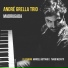 André Grella feat. Marcel Bottaro, Tiago Mecatti