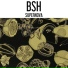BSH