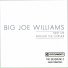 Big Joe Williams