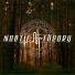 Noetic Theory