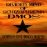 Divided Mind of Schizophrenia