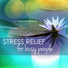 Daily Stress Release Class