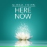 The Global Vision Project
