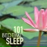 Bedtime Songs Collective & Deep Sleep