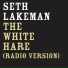 Seth Lakeman