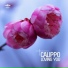 Calippo