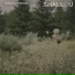Shallou feat. Erika Sirola