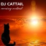 DJ Cattail