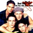 Bad Boys Inc