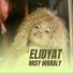 Elidyat