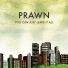 Prawn