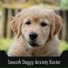 Calming Dog Sleep