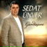 Sedat Ünver