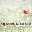Tai Chi Stars & Qi Gong Academy