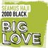 Seamus Haji