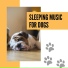 Puppy Theatre Sound System