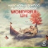 очередной ремикс Wonderful Life