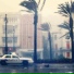 NEOVIK