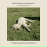 Mary Lattimore