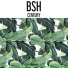 BSH