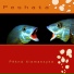 Peshata
