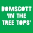 Domscott