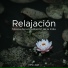 Relaxing Piano Music Consort & Musica Relajante