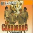Los Cachorros de Juan Villareal