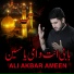 Ali Akbar Ameen