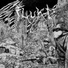 Flukt No