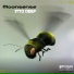 Moonsense