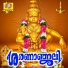 Balamurali Krishna