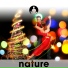 Nature's Harmony