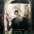 The Spy From Cairo
