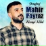 Dengbej Mahir Poyraz