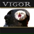 Vigor
