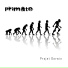 Primate