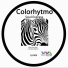 Colorhytmo