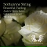 Sothzanne String