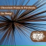 Chocolate Puma & Firebeatz, Chocolate Puma