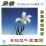 Chen Xionghua