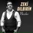 Zeki Dılbırin
