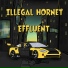 Illegal Hornet